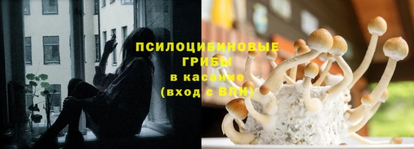 ГАЛЛЮЦИНОГЕННЫЕ ГРИБЫ Володарск