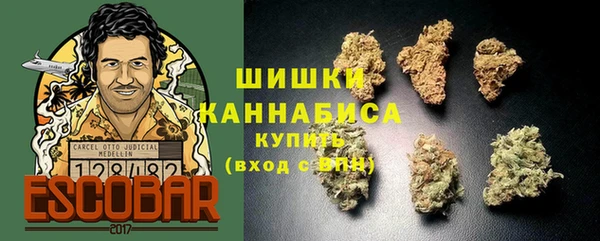 ГАЛЛЮЦИНОГЕННЫЕ ГРИБЫ Володарск